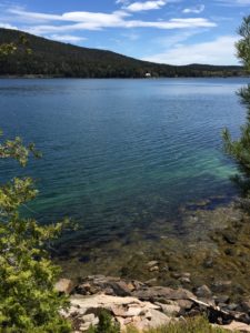 Picture taken during a recent hike in Acadia National Park.